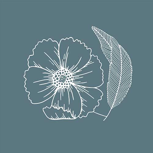 Gravura para Quadro Folhas e Flores em Linhas Brancas - Afi18387