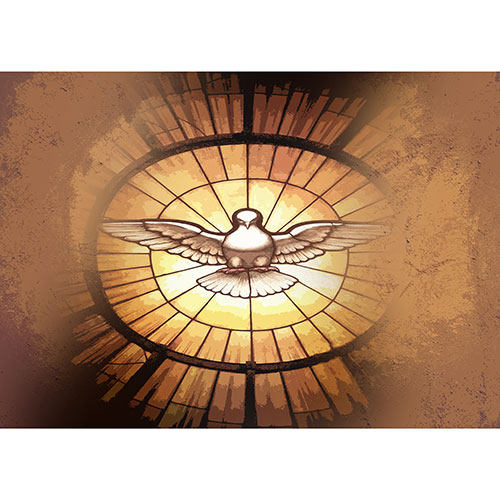 Tela para Quadros Decorativo Espírito Santo da Paz - Afic17669