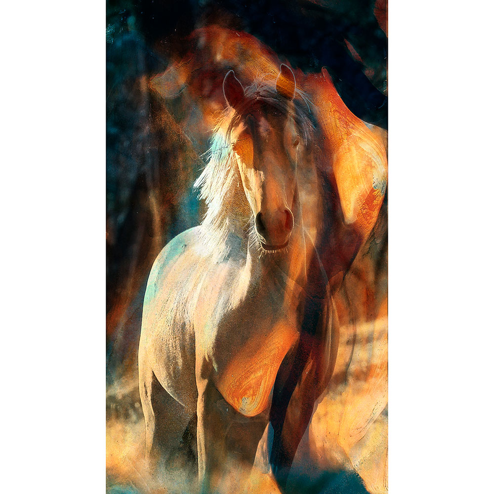 Tela para Quadros Cavalo Fundo Abstrato - Afic12940