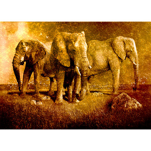Tela para Quadros Decorativo Trio de Elefante Adulto - Afic18039