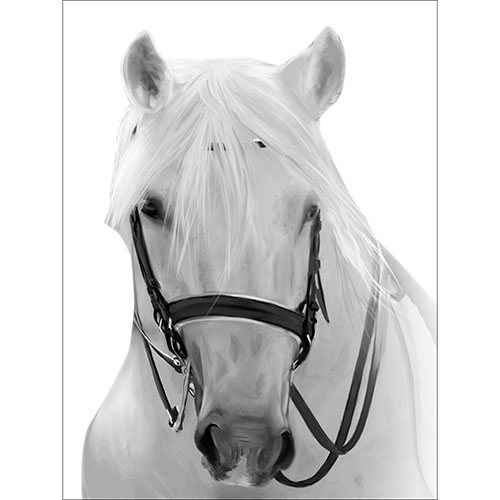 Tela para Quadros Decorativo Cavalo Branco Rédias Preta - Afic18040