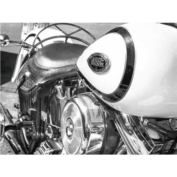 Impressão em Tela para Quadro Moto Harley Davidson Especial - Afic4072 - 69x51 Cm