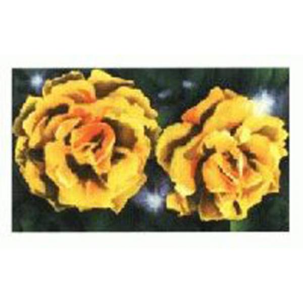 Gravura para Quadros Retr Floral - Ncn1081 - 100x70 Cm