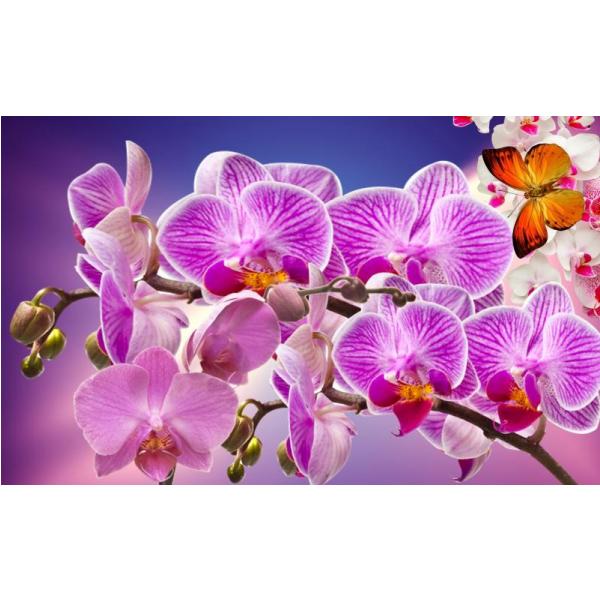 Impresso em Tela para Quadros Flores de Orqudea Roxa - Afic2155 - 90x55 Cm
