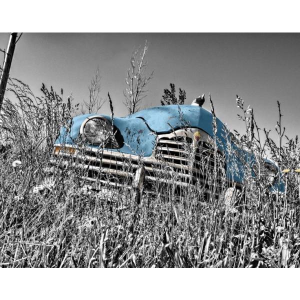 Impressão em Tela para Quadros Decorativos Carro Azul Antigo em Meio Vegetação - Afic1466