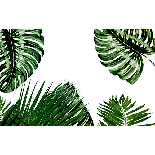 Tela para Quadros Decorativo Folhas de Palmeira e Imb Verde - Afic19452