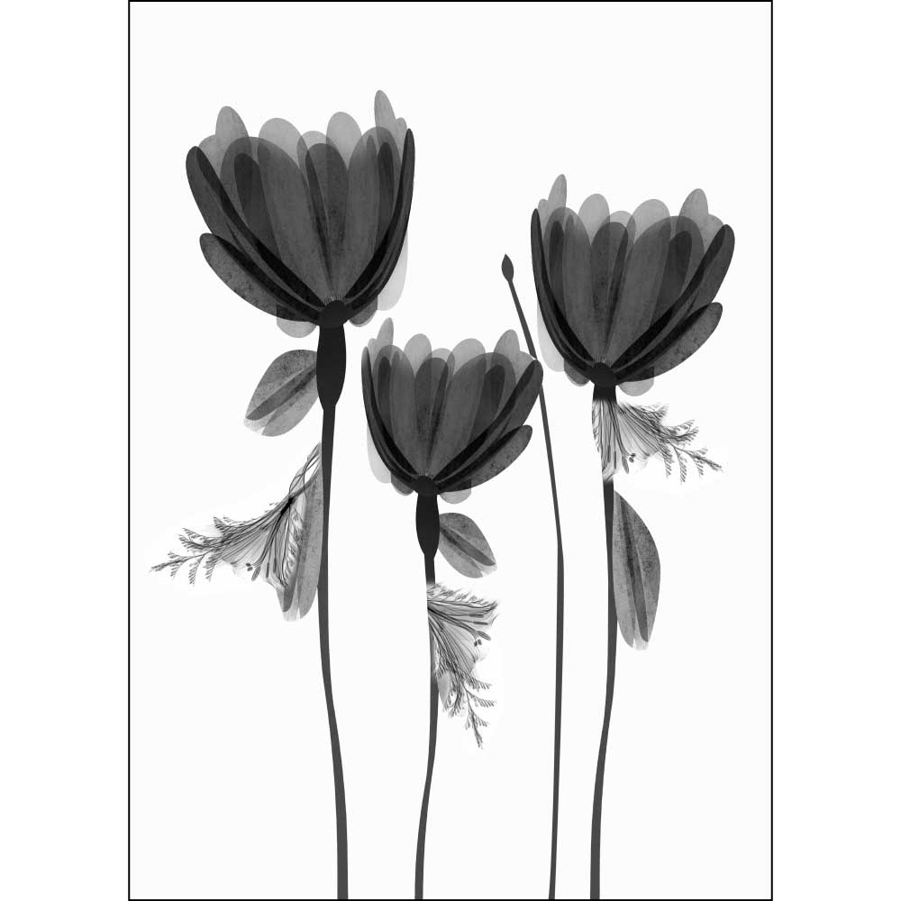 Tela para Quadros Decorativos Florais Trio de Flores Fume Transparente - Afic9082