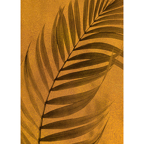Tela para Quadros Folha Palmeira Dourada Fundo Abstrato - Afic19992