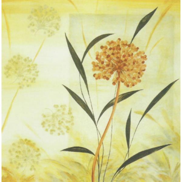 Gravura para Quadros Flor de Agapanto - Ncn4783 - 50x50 Cm