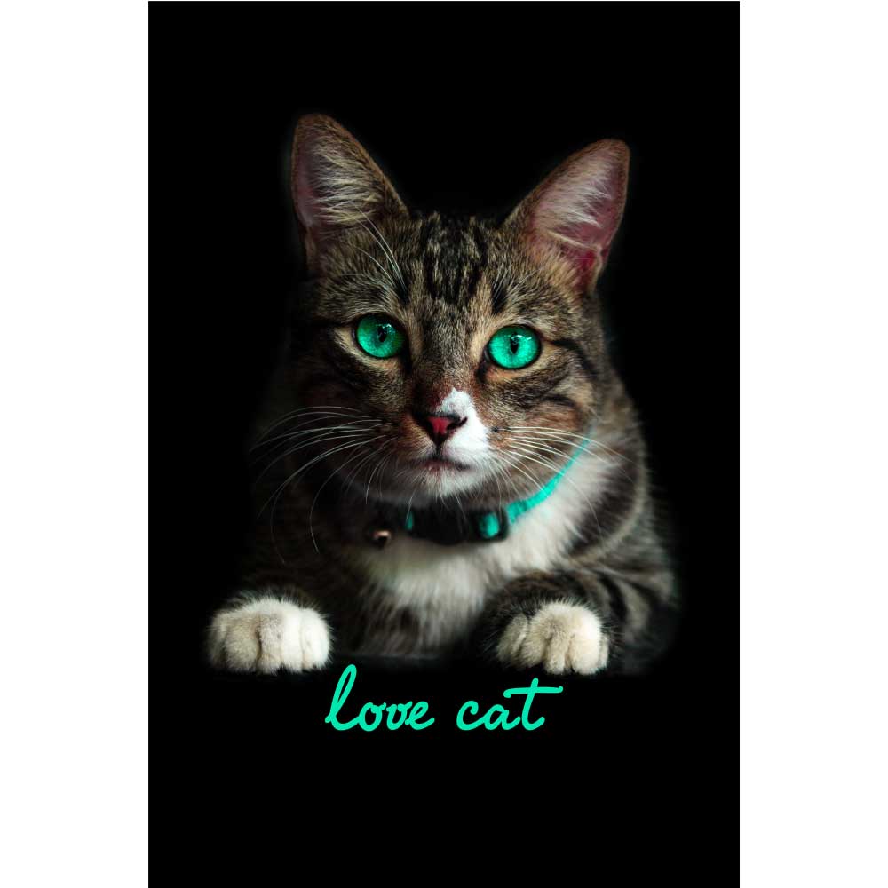 Gravura para Quadros Belíssimo Gato de Olhos Verdes - Afi5983