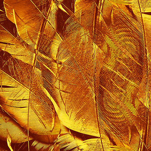Gravura para Quadros Folhas de Ramo Texturizada em Dourada - Afi18554