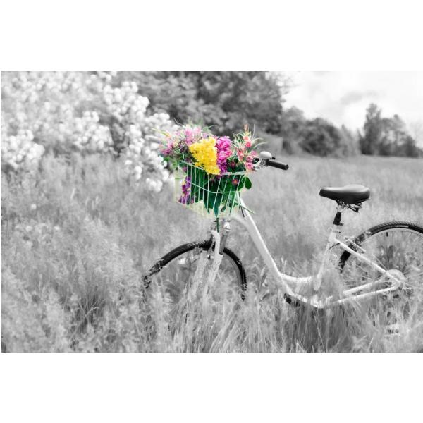 Impressão em Tela para Quadros Flores Na Bicicleta Realçando a Paisagem - Afic5003