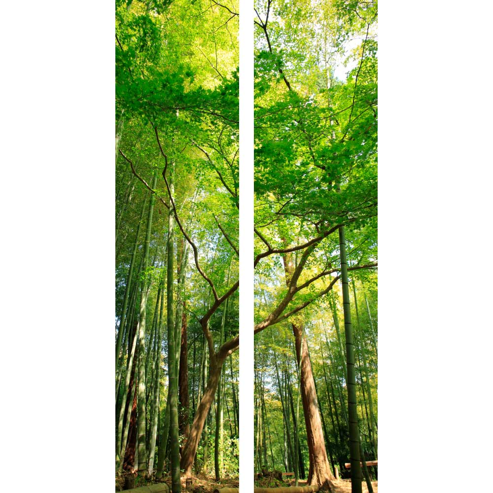 Gravura para Quadros Recortada Natureza rvores Verdes - Afi3814h - 85x160 Cm