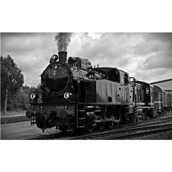 Impressão em Tela para Quadro Locomotiva Preto e Branca I - Afic2726