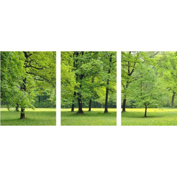 Impresso em Tela para Quadros Jardim e rvores Verdes Recortada - Afic3261c - 190x80 Cm