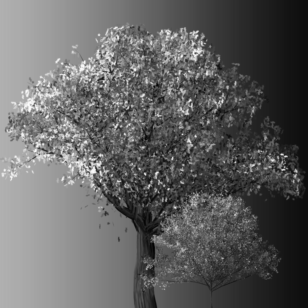 Tela para Quadros Ilustração Preto e Branco Árvore I - Afic6026