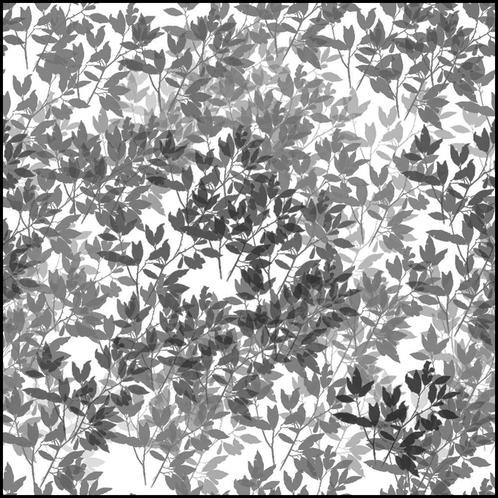 Tela para Quadros Ramos Folhas Preto e Branco - Afic13526 - 100x100 Cm