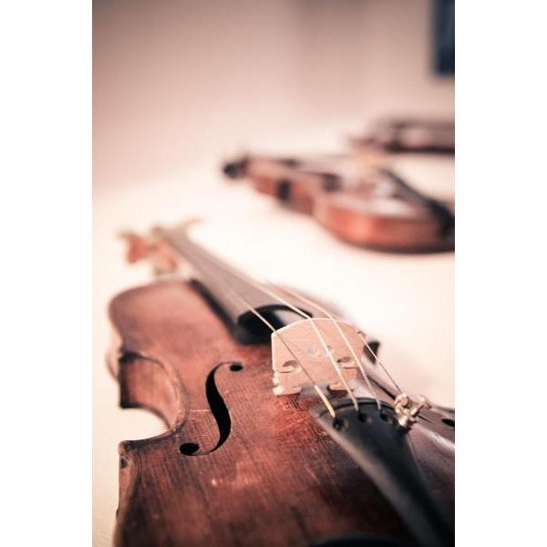 Impressão em Tela para Quadros Instrumento Musical Violino - Afic2702