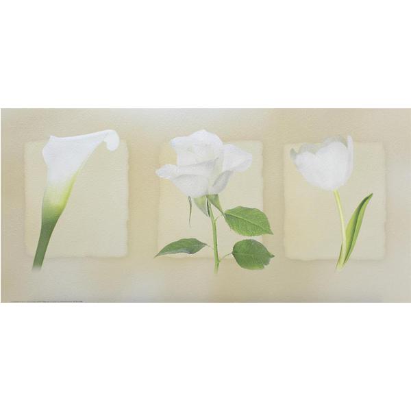 Gravura para Quadros Trio Floral Branca - Dn214 - 70x30 Cm