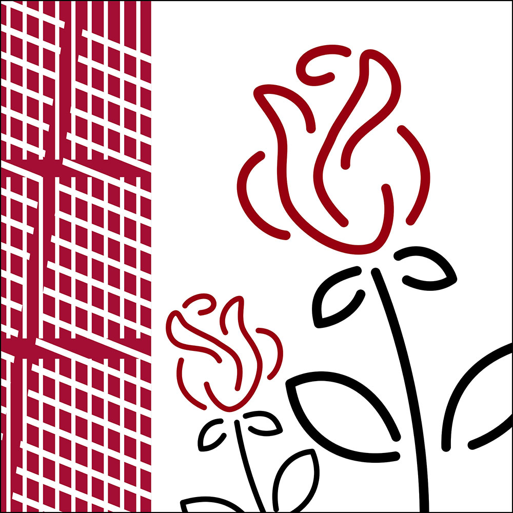 Gravura para Quadros Floral Par Rosa Ilustrativa Detalhe Xadrez - Afi13688