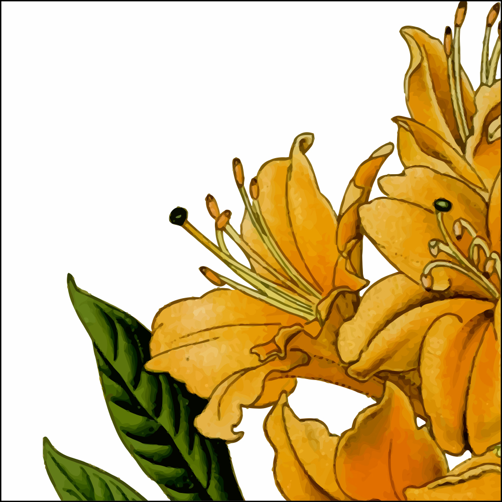 Gravura para Quadros Flores de Azalia Amarelas - Afi11201