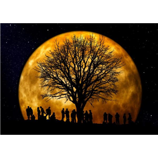 Gravura para Quadros Paisagem Maravilhosa Noite de Lua Cheia - Afi3399
