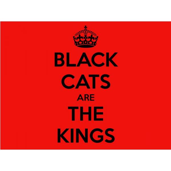 Impresso em Tela para Quadros Frase Black Cats Are The Kings - Afic537 - 70x50 Cm
