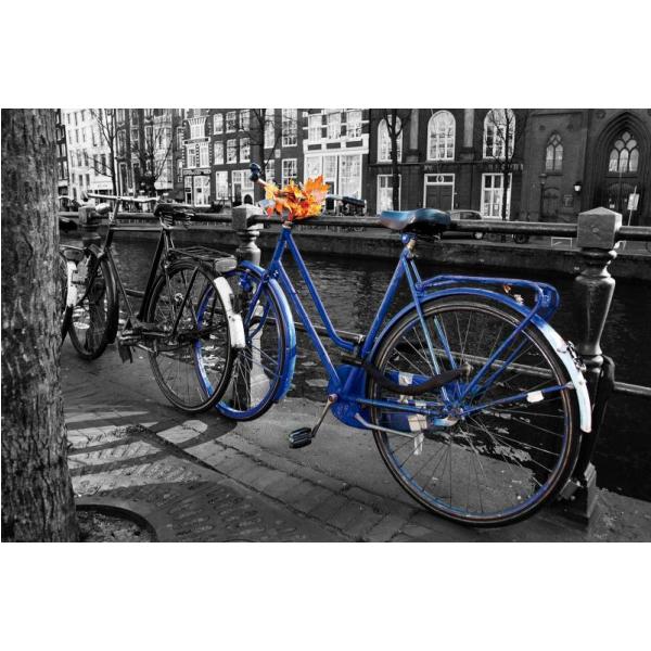 Impressão em Tela para Quadros Bicicleta Antiga Azul - Afic3685