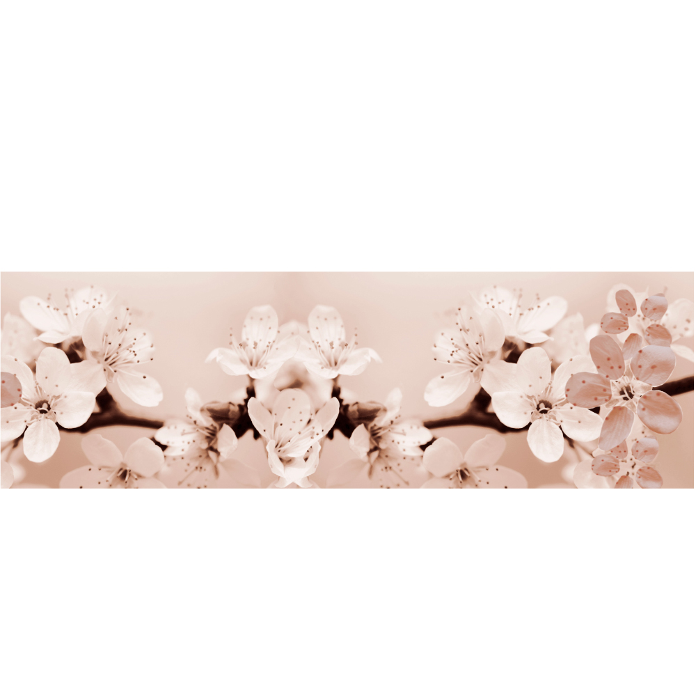 Gravura para Quadros Belssimas Flores de Pssego - Afic6534 - 390x120 Cm