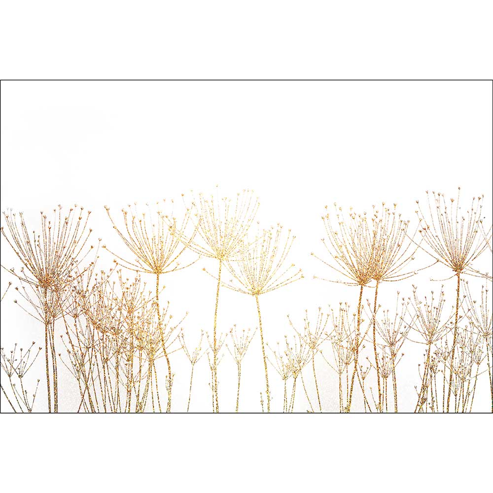Gravura para Quadros Desenho Ilustrativo Floral Chuveirinho Dourada - Afi14943