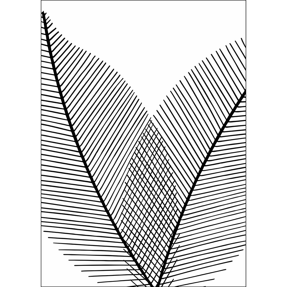 Gravura para Quadros Folhas Arte com Linhas Preta - Afi13522 - 148x220 Cm