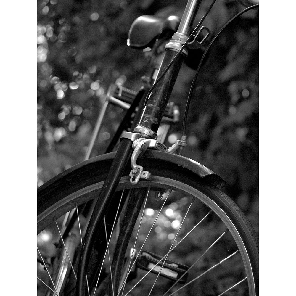 Tela para Quadros Bicicleta Decorativa Preta e Branca - Afic13529 - 70x100 Cm