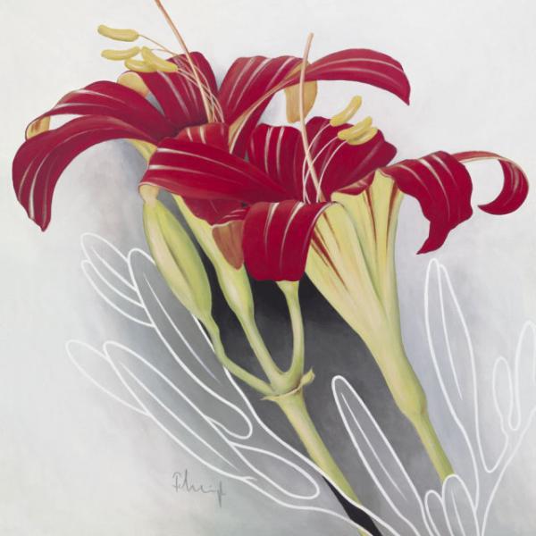 Gravura para Quadros Flores de Lrio Vermelho - 074031- 70x70 Cm