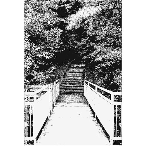 Gravura para Quadros Paisagem Escada Natureza Preto e Branco - Afi19773