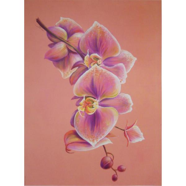 Gravura para Quadros Floral Ramo de Orqudea - 9935179 - 50x70 Cm