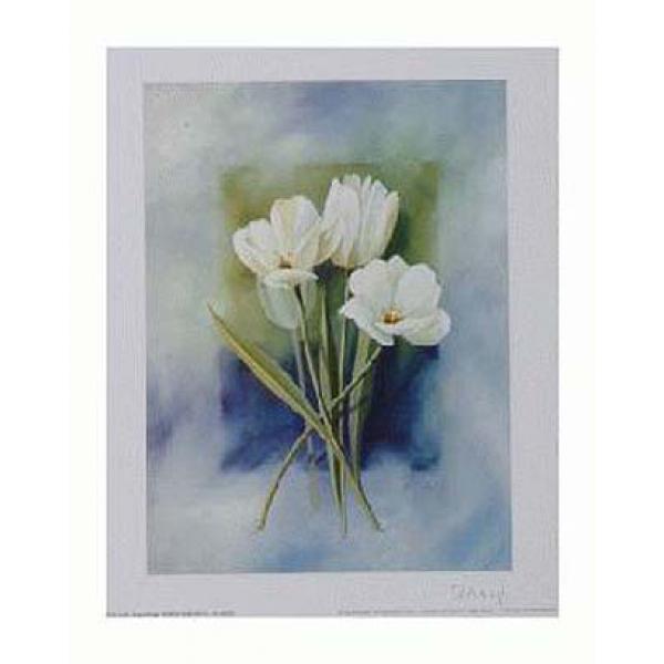 Gravura para Quadros Floral Flor Branca - Ncn3102-