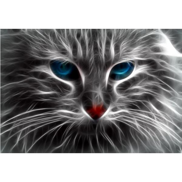 Impresso em Tela para Quadros Imagem Pet Gato de Olhos Azuis - Afic562 - 71x49 Cm