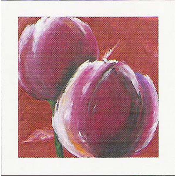 Gravura para Quadros Decorativo Tulipa - Ncn4025 - 30x30 Cm