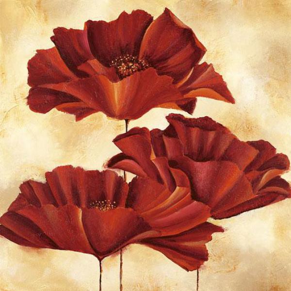 Gravura para Quadros Floral Trio de Papoulas - 05180 - 50x50 Cm