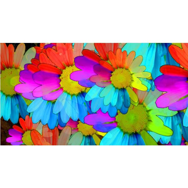 Impresso em Tela para Quadros Flores Coloridas Diversas - Afic2146 - 110x60 Cm