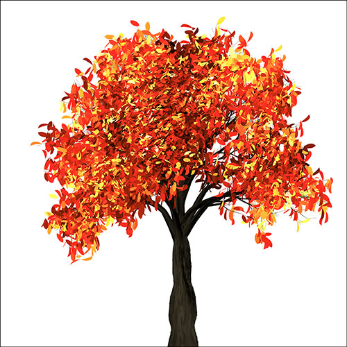 Gravura para Quadros rvore de Outono Folhas Vermelhas e Amarelas - Afi18925