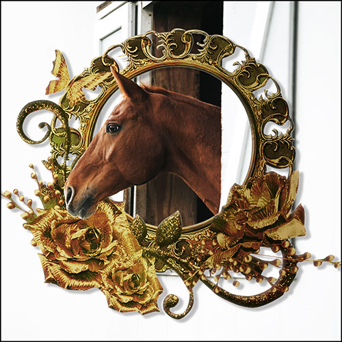 Gravura para Quadros Decorativo Cavalo Arco Dourado Floral - Afi19668