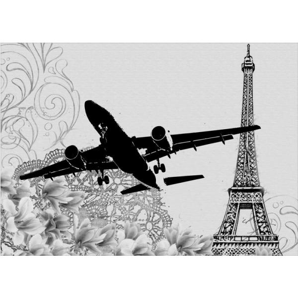 Gravura para Quadros Vintage Avião Voando Sobre Paris - Afi5159