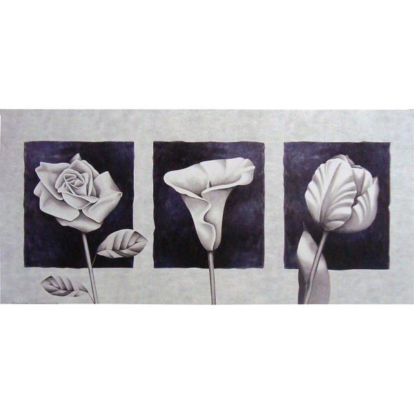 Gravura para Quadros Pster com Trio Floral - Dn463 - 70x30 Cm