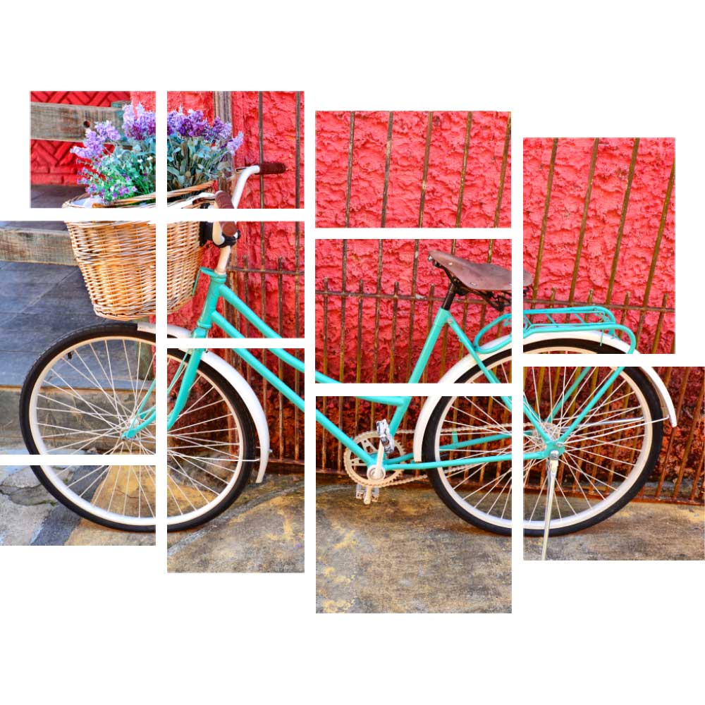 Tela para Quadros Recortada Bike com Cesto de Flores Por Dorival Moreira - Aficdm170a 144x106 Cm