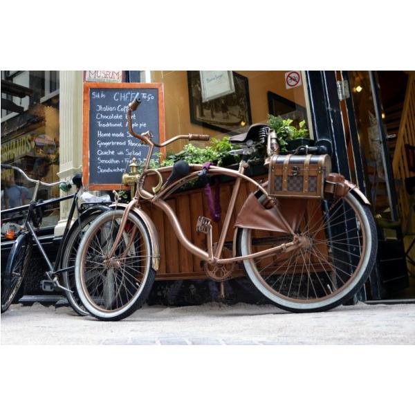 Gravura para Quadros Bicicleta Dourada - Afi1289