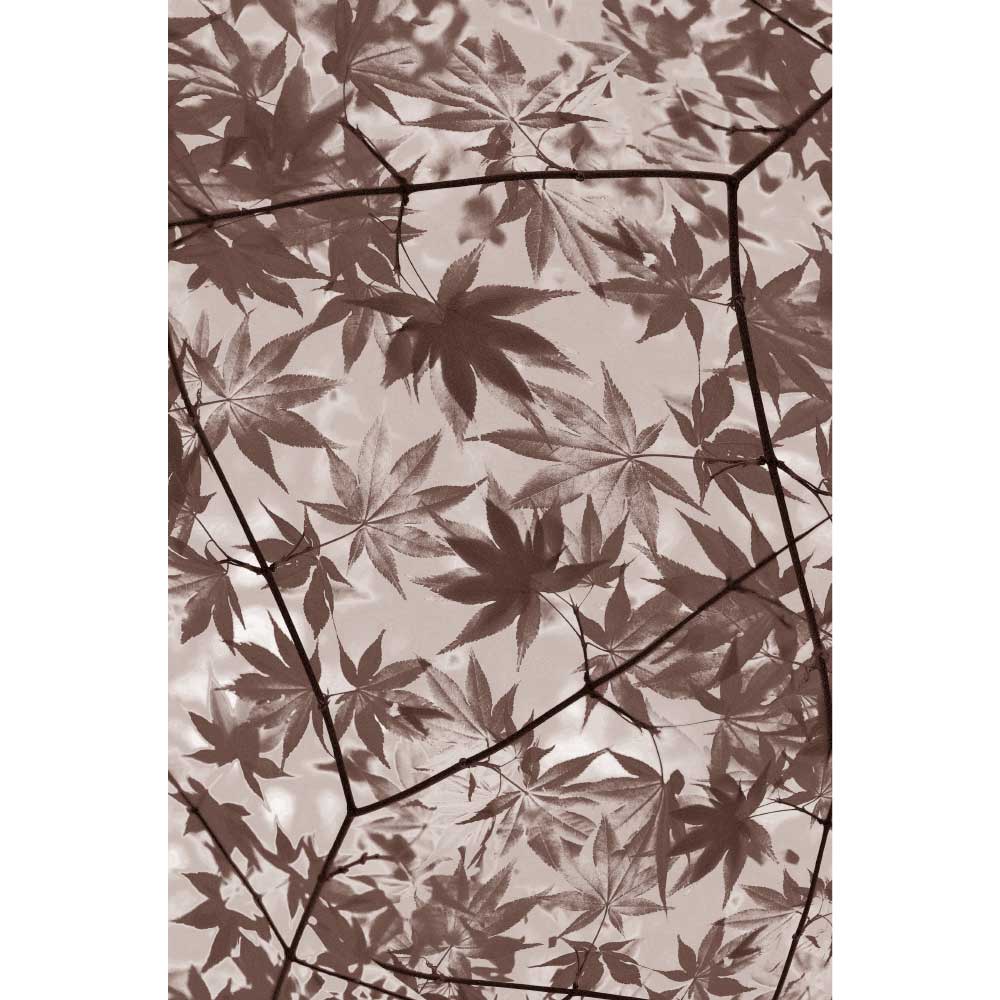 Tela para Quadros Decorativos Folhas em Spia I - Afic10122