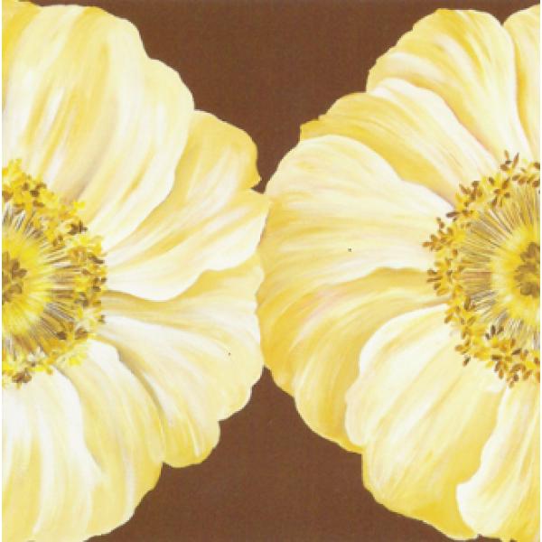 Gravura para Quadros Flores Calndula Amarela I - Ncn4721 - 50x50 Cm