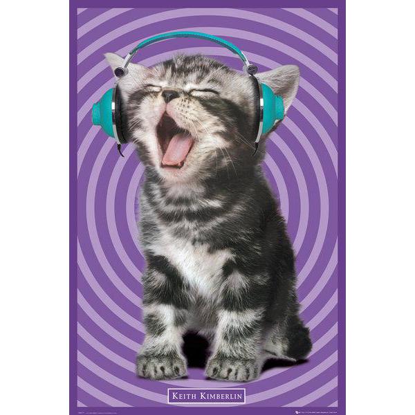 Poster para Quadros Kitten Cantando 60x90 Cm
