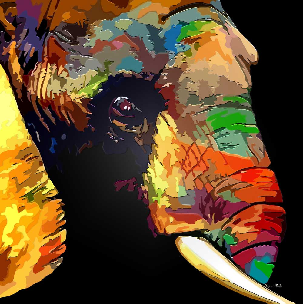 Gravura para Quadros Belssimo Elefante Colorido - Afi6633